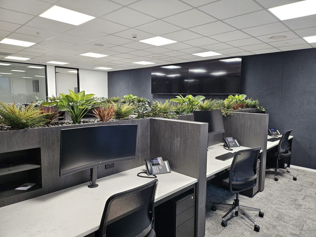 Office workstation pods with planter dividers New Plymouth commercial office fit-out